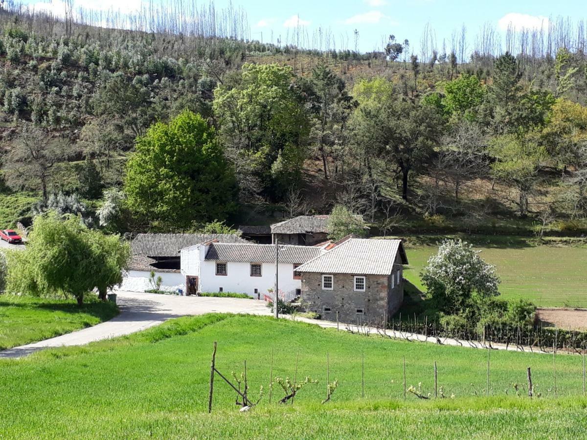 A Charming , Traditional Cottage At Quinta Da Ribeira Vila Nova de Poiares Buitenkant foto